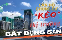 Căn hộ chung cư 'kéo' thị trường bất động sản đi lên
