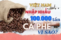 Việt Nam nhập khẩu hơn 100.000 tấn cà phê, vì sao?