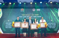 Cánh đồng lúa khủng hơn 250.000ha xác lập kỷ lục Việt Nam