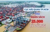 TP.HCM: Thu thuế từ ô tô nhập khẩu giảm hơn 3.000 tỉ đồng 