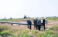 Đầu năm, 2 nhóm 'cá mập' rục rịch săn đất nền