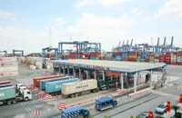 Vướng mắc thủ tục hải quan vì... 1 quy định nhiều bộ quản