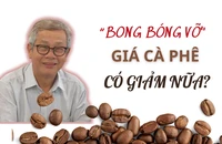 'Bong bóng' giá cà phê bắt đầu tan vỡ, sắp tới sẽ ra sao?