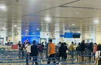 Nợ thuế vài trăm ngàn đồng, giám đốc doanh nghiệp không được xuất cảnh