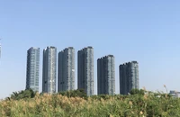 Thị trường bất động sản TP.HCM phân chia 2 khu vực giá 