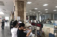 Một cá nhân thành lập 116 doanh nghiệp: Người đại diện pháp luật đã bị bắt