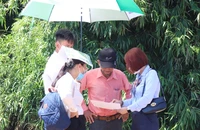 Siết phân lô bán nền từ 1-8: Giá đất nền có tăng?