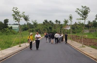 Giao dịch đất nền thành công bất ngờ tăng mạnh: Do tâm lý nhà đầu tư