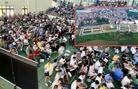 Nóng đấu giá đất vùng ven Hà Nội: Chuyên gia nói gì?