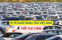 Ô tô nhập khẩu vào Việt Nam tiếp tục tăng với giá chỉ 360 triệu đồng/xe