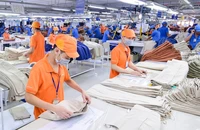 Đơn hàng mới đổ về, doanh nghiệp Việt hết cảnh 'ăn đong từng bữa'
