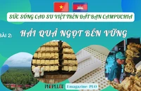 Bài 2: Các dự án cao su tạo ra giá trị bền vững 