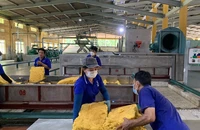 'Vàng trắng' thắng lớn nhờ... ô tô điện