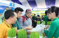 Phát triển xanh, mở cánh cửa đưa hàng Việt ra toàn cầu