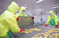 Xanh hóa ngay từ bây giờ, tránh tình trạng 'nước đến chân mới nhảy'