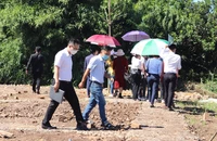 Thị trường đất nền cuối năm: Hiếm hoi cơ hội giữa biến động