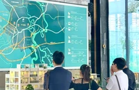 Năm mới, nhà đầu tư Hà Nội hào hứng đổ vốn vào bất động sản phía Nam