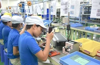 Doanh nghiệp TP.HCM lạc quan kinh tế khởi sắc từ quý I-2025 