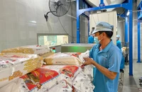 Lý do giá gạo xuất khẩu đầu năm lao dốc