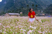 Du lịch Hà Giang hút khách Mỹ, Hàn Quốc nhờ điều gì?