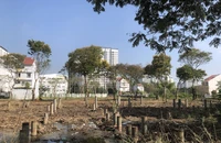 Nhà Bè kiến nghị gỡ vướng cho chủ đầu tư dự án nhà ở 'trùm mền' 20 năm