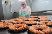 Công ty Việt đang 'ngồi trên lửa' trước mức thuế mới 46% của Mỹ