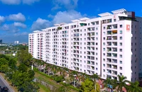 Nhiều ban quản trị chung cư sai phạm: Thất thoát tiền tỉ, cư dân chịu thiệt