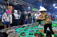 Ngành thuế rà soát đưa thêm gần 200.000 hộ kinh doanh vào diện quản lý