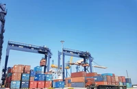 Doanh nghiệp châu Âu lạc quan về tiềm năng của Việt Nam