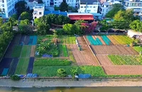 Giảm 70% tiền sử dụng đất: Gỡ gánh nặng, mở ra cơ hội an cư