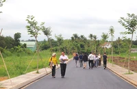 Đất nền vùng ven ăn theo sáp nhập: Cảnh báo vỡ 'bong bóng'