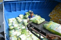 Đồng loạt kiến nghị bỏ thuế VAT 5% với gạo, cà phê vì lo kẹt vốn