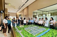 Lý do dòng tiền đổ về bất động sản vệ tinh TP.HCM