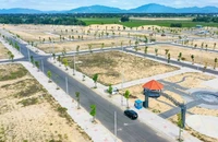 Giá đất nền TP.HCM mở bán cao nhất 140 triệu/m², thị trường vẫn 'khát' giao dịch