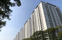 Giá căn hộ TP.HCM vẫn tiếp tục tăng