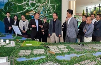 Bất động sản Bình Dương cũ đang hút vốn mạnh, vì sao?