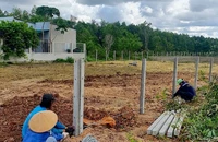 Choáng váng vì không biết lấy tiền đâu mua lại đất của chính mình khi chuyển mục đích sử dụng