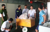 Ngăn chặn 2 tấn thịt heo đã đổi màu, biến chất chuẩn bị được đưa ra thị trường Tết