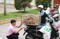 C.P. Việt Nam tặng 20.000 con gà giống và thức ăn chăn nuôi giúp dân sau bão lũ