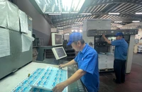 CNS kiến nghị gỡ vướng, dồn lực làm chủ đầu tư hạ tầng số