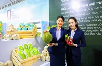 Xuất khẩu của Việt Nam dần thoát khỏi đáy 'đường cong nụ cười' nhưng ...