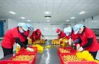 Bà nội trợ, nhà kinh doanh xoay sở trước áp lực xăng dầu