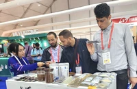 Cà phê Việt Nam rớt giá vì Brazil được mùa, có nên ghìm hàng chờ giá đỉnh?