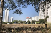 Nghị định 147: Đòn bẩy pháp lý gỡ vướng hàng ngàn dự án tồn đọng