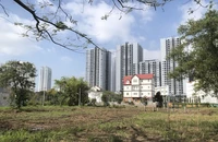 TP.HCM đẩy mạnh tháo gỡ pháp lý cứu hàng loạt dự án 'đóng băng'