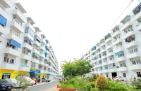 Đưa phân khúc nhà cho thuê làm trụ cột an sinh