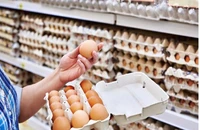 Vi khuẩn salmonella xâm nhập vào quả trứng như thế nào?