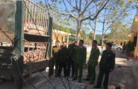 Hiểm họa thịt heo nhập lậu vào Việt Nam