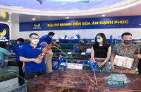 Tôm hùm Úc bất ngờ giảm giá mạnh