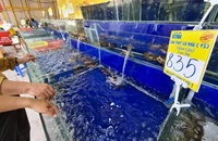 Cua ghẹ khan hàng, giá tăng cao chóng mặt